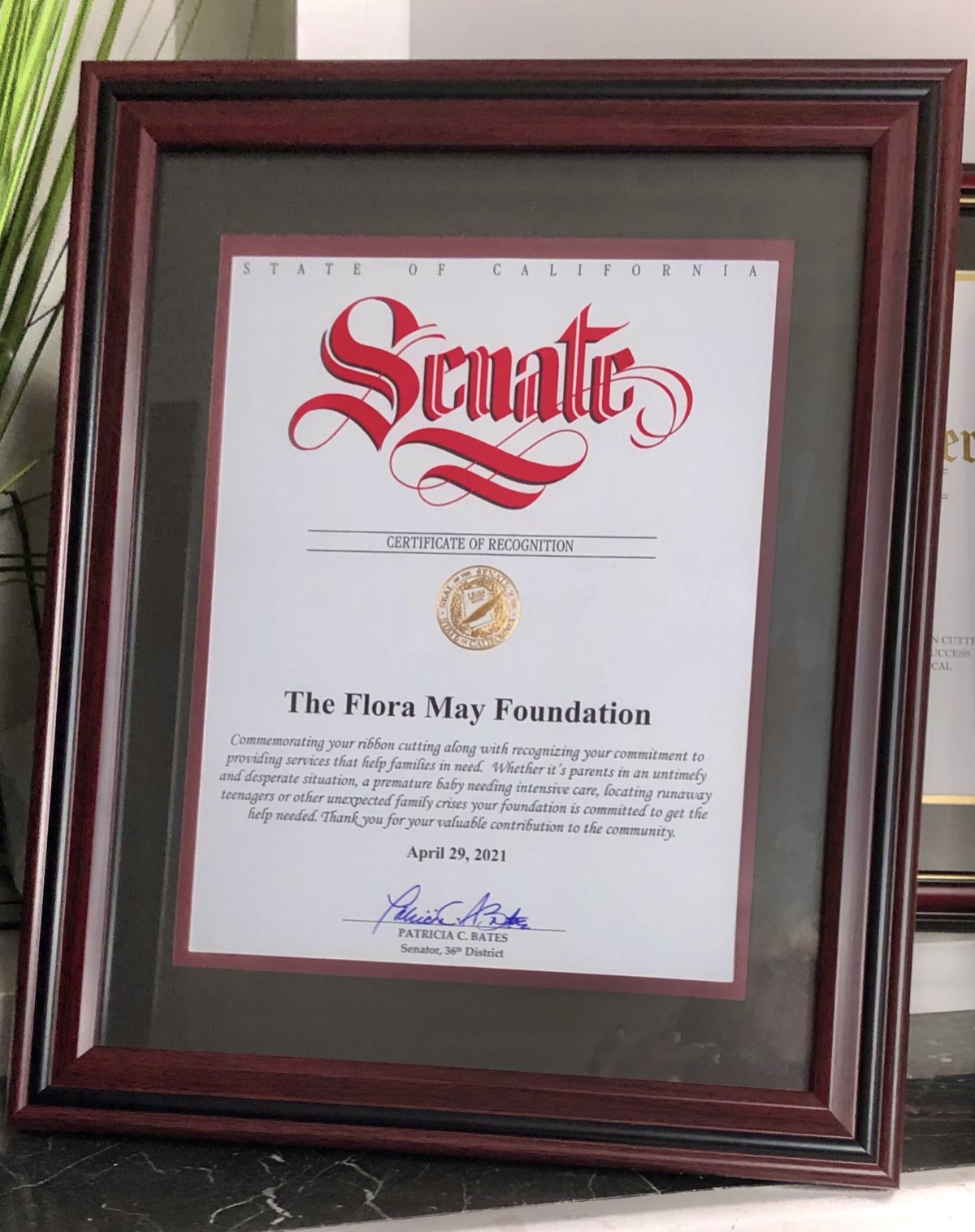 Flora May Foundation moment 11